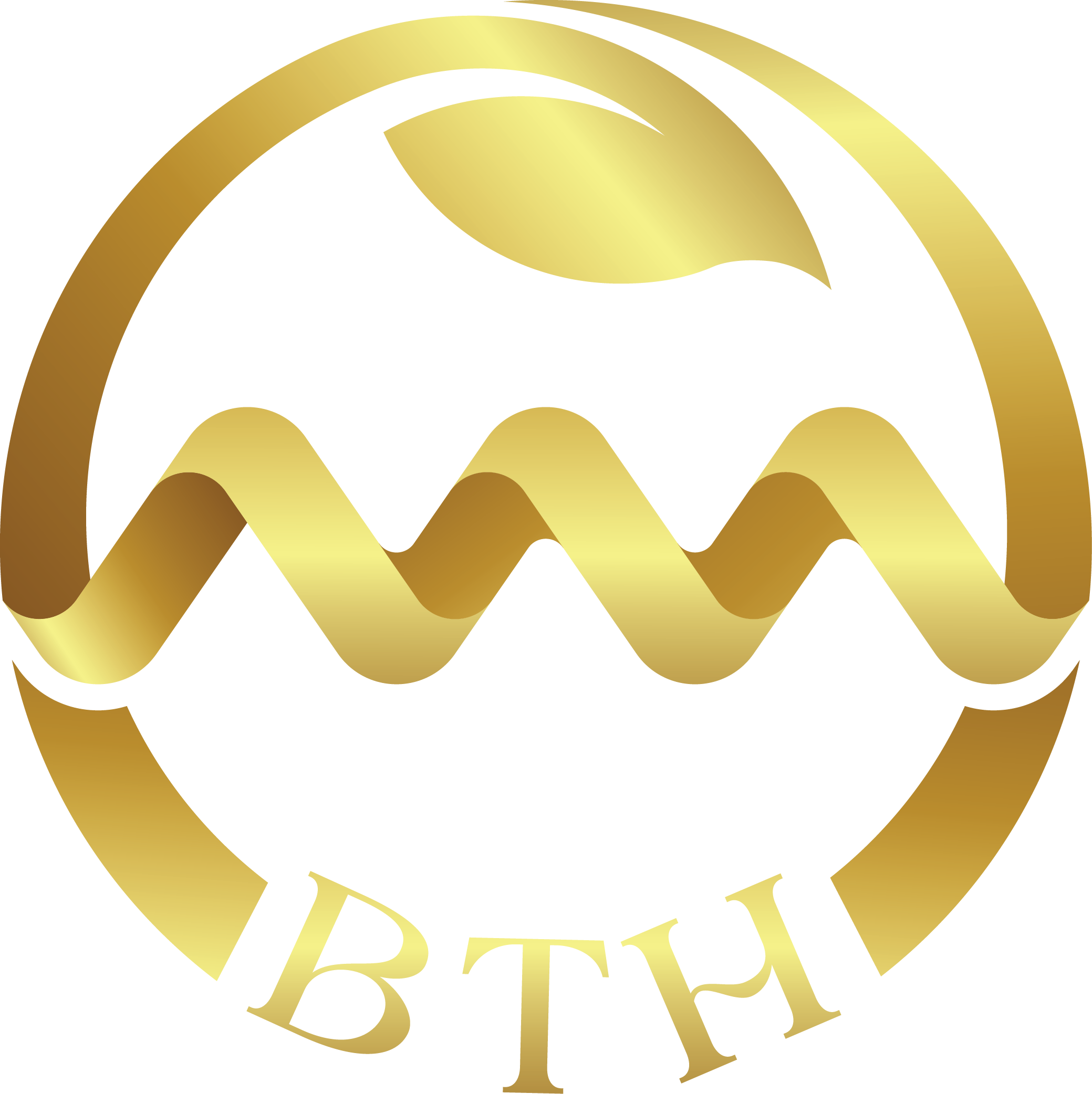 Mỹ phẩm BTH